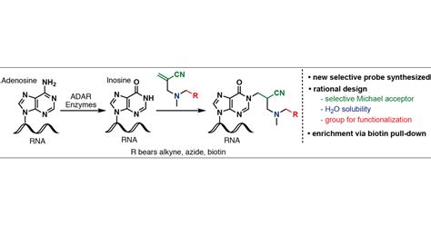 adenosine vs inosine.